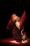 2014 Spring Summer', 'Vivienne Westwood Red', 'Full Length', 'WESTWOODRED_WCFS14_557.JPG