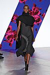 2014 Fall Winter', 'Thakoon', 'Full Length', 'THAKOON_WCFF14_067.jpg