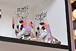 2014 Fall Winter', 'Sophia Webster', 'Full Length', 'WEBSTER_WCFF14_089.jpg
