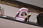 2014 Fall Winter', 'Sophia Webster', 'Full Length', 'WEBSTER_WCFF14_099.jpg