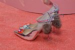2014 Fall Winter', 'Sophia Webster', 'Full Length', 'WEBSTER_WCFF14_150.jpg