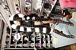 2014 Fall Winter', 'Sophia Webster', 'Full Length', 'WEBSTER_WCFF14_338.JPG