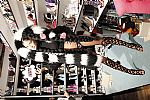 2014 Fall Winter', 'Sophia Webster', 'Full Length', 'WEBSTER_WCFF14_341.JPG