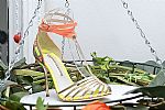 2014 Fall Winter', 'Sophia Webster', 'Full Length', 'WEBSTER_WCFF14_194.jpg