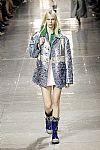 2014 Fall Winter', 'Miu Miu', 'Full Length', 'MIUMIU_WCFF14_513.jpg