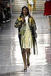 2014 Fall Winter', 'Miu Miu', 'Full Length', 'MIUMIU_WCFF14_658.jpg