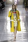 2014 Fall Winter', 'Miu Miu', 'Full Length', 'MIUMIU_WCFF14_698.jpg