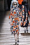 2014 Fall Winter', 'Dries Van Noten', 'Full Length', 'NOTEN_WCFF14_221.JPG