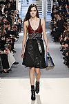 2014 Fall Winter', 'Louis Vuitton', 'Full Length', 'VUITTON_WCFF14_161.JPG