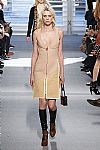 2014 Fall Winter', 'Louis Vuitton', 'Full Length', 'VUITTON_WCFF14_238.JPG