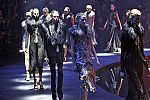 2014 Fall Winter', 'Roberto Cavalli', 'Full Length', 'CAVALLI_WCFF14_256.JPG