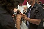 2015 Spring Summer', 'Aigner', 'Backstage - Fashion', 'AIGNER_WBFS15_004.JPG