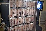 2015 Spring Summer', 'Aigner', 'Backstage - Fashion', 'AIGNER_WBFS15_052.JPG