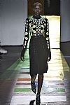 2015 Fall Winter', 'Peter Pilotto', 'Full Length', 'PILOTTO_WCFF15_110.JPG