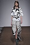 2015 Fall Winter', 'Christian Wijnants', 'Full Length', 'WIJNANTS_WCFF15_007.jpg