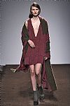 2015 Fall Winter', 'Christian Wijnants', 'Full Length', 'WIJNANTS_WCFF15_040.jpg