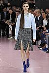 2015 Fall Winter', 'Christian Dior', 'Full Length', 'DIOR_WCFF15_038.JPG