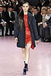 2015 Fall Winter', 'Christian Dior', 'Full Length', 'DIOR_WCFF15_132.JPG