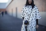 2015 Fall Winter', 'Street Fashion', 'Street', 'STREET_PFWF15_1212.jpg
