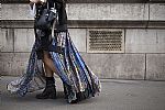 2015 Fall Winter', 'Street Fashion', 'Street', 'STREET_PFWF15_3347.jpg