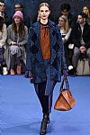 2016 Fall Winter', 'Roksanda Ilincic', 'Full Length', 'ROKSANDA_WCFF16_050.JPG