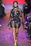 2017 Spring Summer', 'Elie Saab', 'Full Length', 'SAAB_WCFS17_041.jpg