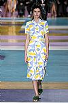 2017 Spring Summer', 'Miu Miu', 'Full Length', 'MIUMIU_WCFS17_112.jpg