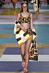 2017 Spring Summer', 'Miu Miu', 'Full Length', 'MIUMIU_WCFS17_162.jpg