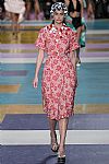 2017 Spring Summer', 'Miu Miu', 'Full Length', 'MIUMIU_WCFS17_216.jpg