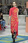 2017 Fall Winter', 'Peter Pilotto', 'Full Length', 'PILOTTO_WCFF17_066.jpg