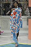 2017 Fall Winter', 'Peter Pilotto', 'Full Length', 'PILOTTO_WCFF17_106.jpg