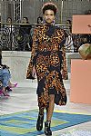 2017 Fall Winter', 'Peter Pilotto', 'Full Length', 'PILOTTO_WCFF17_118.jpg