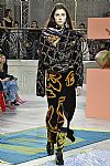 2017 Fall Winter', 'Peter Pilotto', 'Full Length', 'PILOTTO_WCFF17_146.jpg