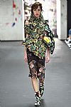 2017 Fall Winter', 'Preen', 'Full Length', 'PREEN_WCFF17_166.jpg