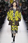 2017 Fall Winter', 'Dries Van Noten', 'Full Length', 'NOTEN_WCFF17_209.jpg
