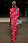 2017 Fall Winter', 'Miu Miu', 'Full Length', 'MIUMIU_WCFF17_058.jpg