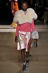 2017 Fall Winter', 'Miu Miu', 'Full Length', 'MIUMIU_WCFF17_067.jpg