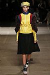 2017 Fall Winter', 'Miu Miu', 'Full Length', 'MIUMIU_WCFF17_083.jpg