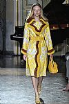 2017 Fall Winter', 'Blumarine', 'Full Length', 'BLUMARINE_WCFF17_009.jpg