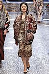 2017 Fall Winter', 'Dolce & Gabbana', 'Full Length', 'DOLCE_WCFF17_240.jpg