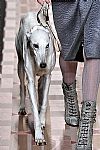 2017 Fall Winter', 'Trussardi', 'Full Length', 'TRUSSARDI_WCFF17_051.jpg
