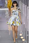 2018 Spring Summer', 'Ralph Russo', 'Full Length', 'RALPHRUSSO_WCFS18_050.jpg
