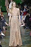 2018 Spring Summer', 'Elie Saab', 'Full Length', 'SAAB_WCFS18_146.jpg