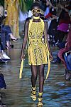 2018 Spring Summer', 'Elie Saab', 'Full Length', 'SAAB_WCFS18_103.jpg
