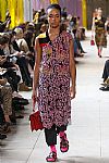 2018 Spring Summer', 'Miu Miu', 'Full Length', 'MIUMIU_WCFS18_037.jpg