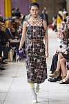 2018 Spring Summer', 'Miu Miu', 'Full Length', 'MIUMIU_WCFS18_055.jpg