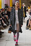 2018 Spring Summer', 'Miu Miu', 'Full Length', 'MIUMIU_WCFS18_179.jpg