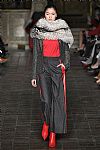 2018 Fall Winter', 'Dennis Basso', 'Full Length', 'BASSO_WCFF18_009.jpg