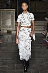 2018 Fall Winter', 'Dennis Basso', 'Full Length', 'BASSO_WCFF18_174.jpg