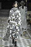 2018 Fall Winter', 'Christian Wijnants', 'Full Length', 'WIJNANTS_WCFF18_029.jpg